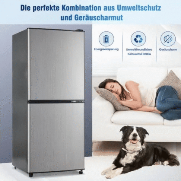 Réfrigérateur bi-zone basse consommation 106L réfrigérateur 60L + congélateur 4 étoiles 46L, 7 réglages de température éclairage – Image 3